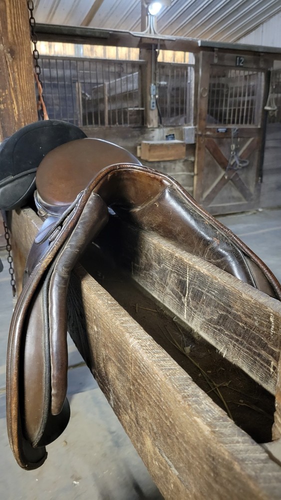 Collegiate Saddle 17 Inch