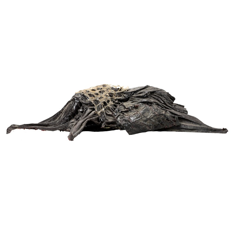 Stranger Things Season 5 Upside Down Screen Used Large Vecna Vine Squid
