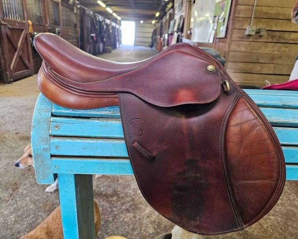 Pessoa Saddle 15" Close Contact