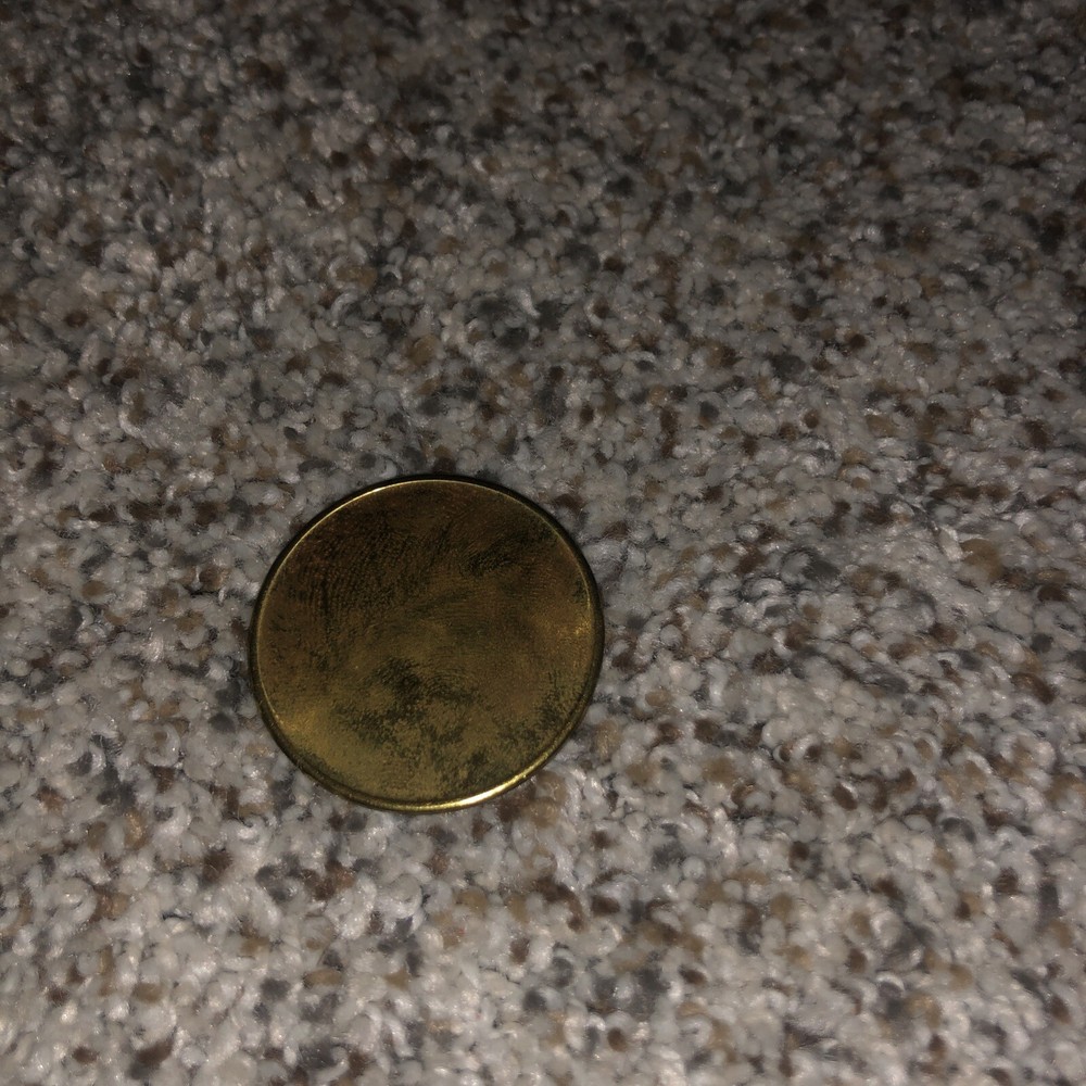 Driftwood Day camp coin.