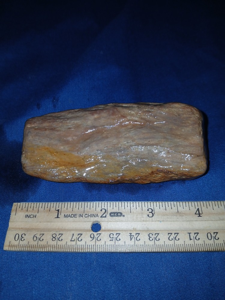 9.7 oz Texas Petrified Wood
