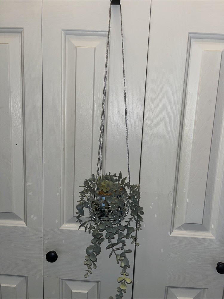 Disco Ball Hanging Plant 24”