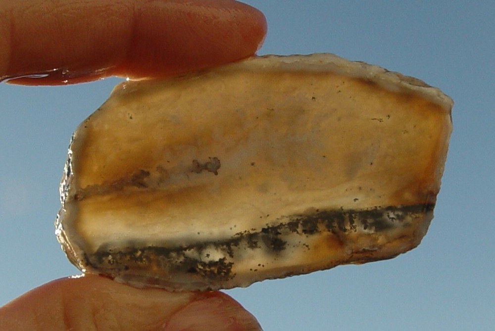Dendritic Agate Lapidary Slab T967