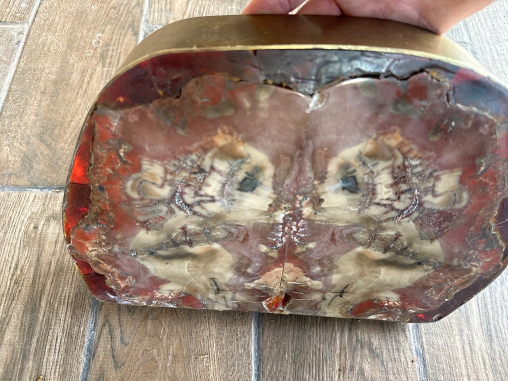 petrified wood.. super unique .. mirror image cuts 