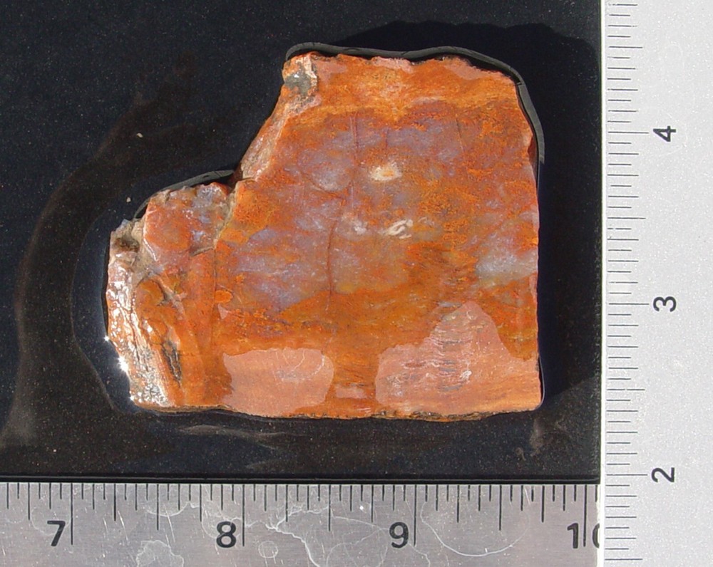 Red and White  Agate   Lapidary Slab                   T1278