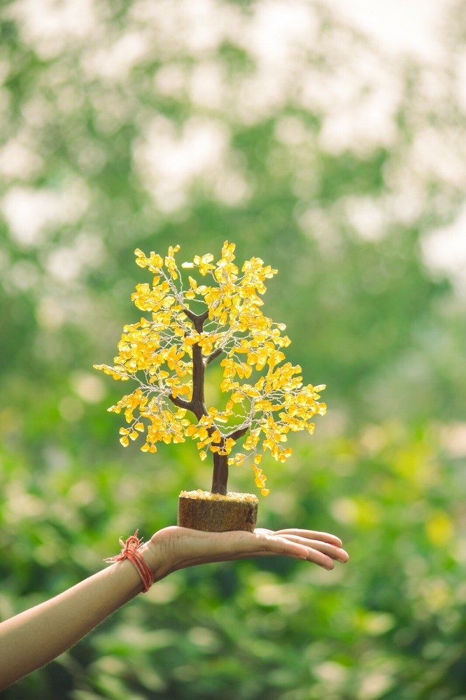 Gemstone Citrine 500 Chips Gem Tree