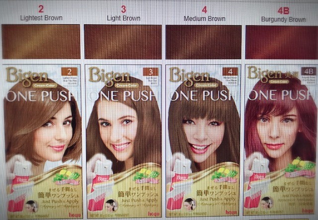 Bigen One Push Cream "Just Push & Apply & Excellent Gray Coverage for 2 pack"