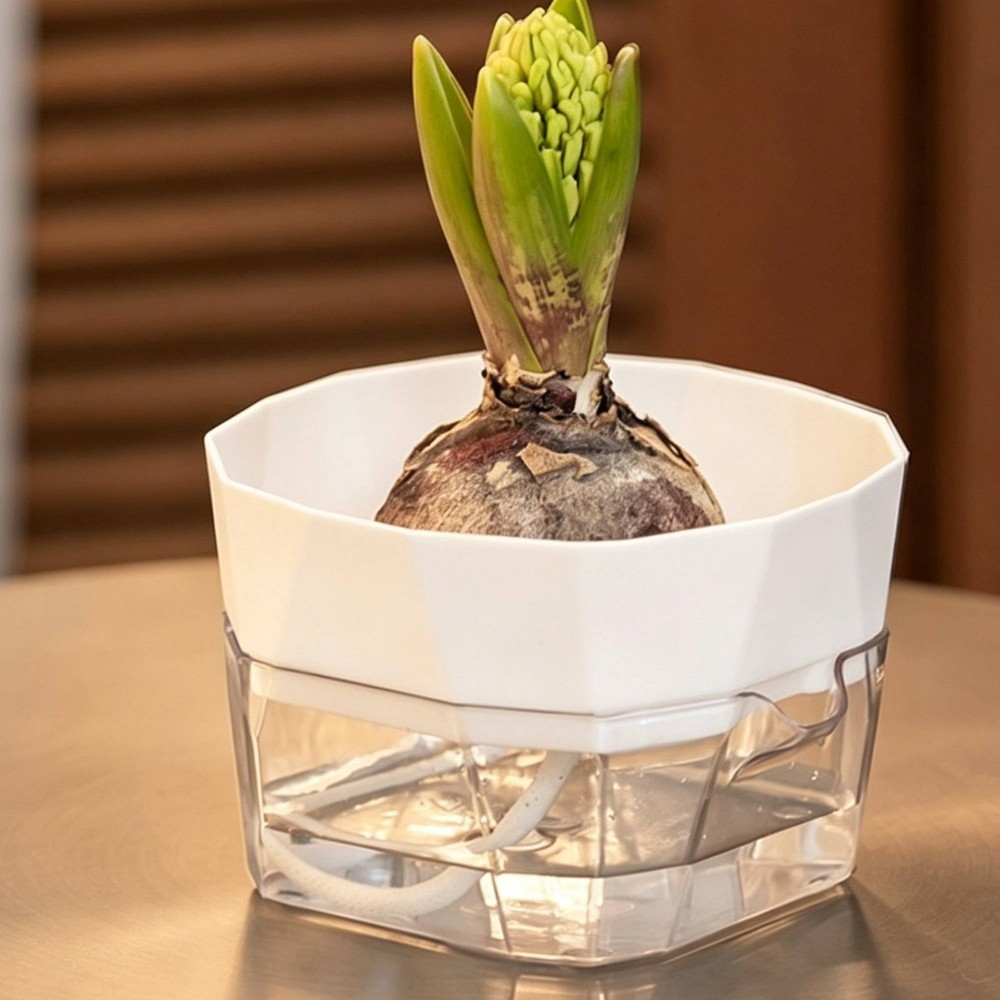 Hydroponic Bulb Vase 2-Layer Design Self-Watering Planter for Desktop,