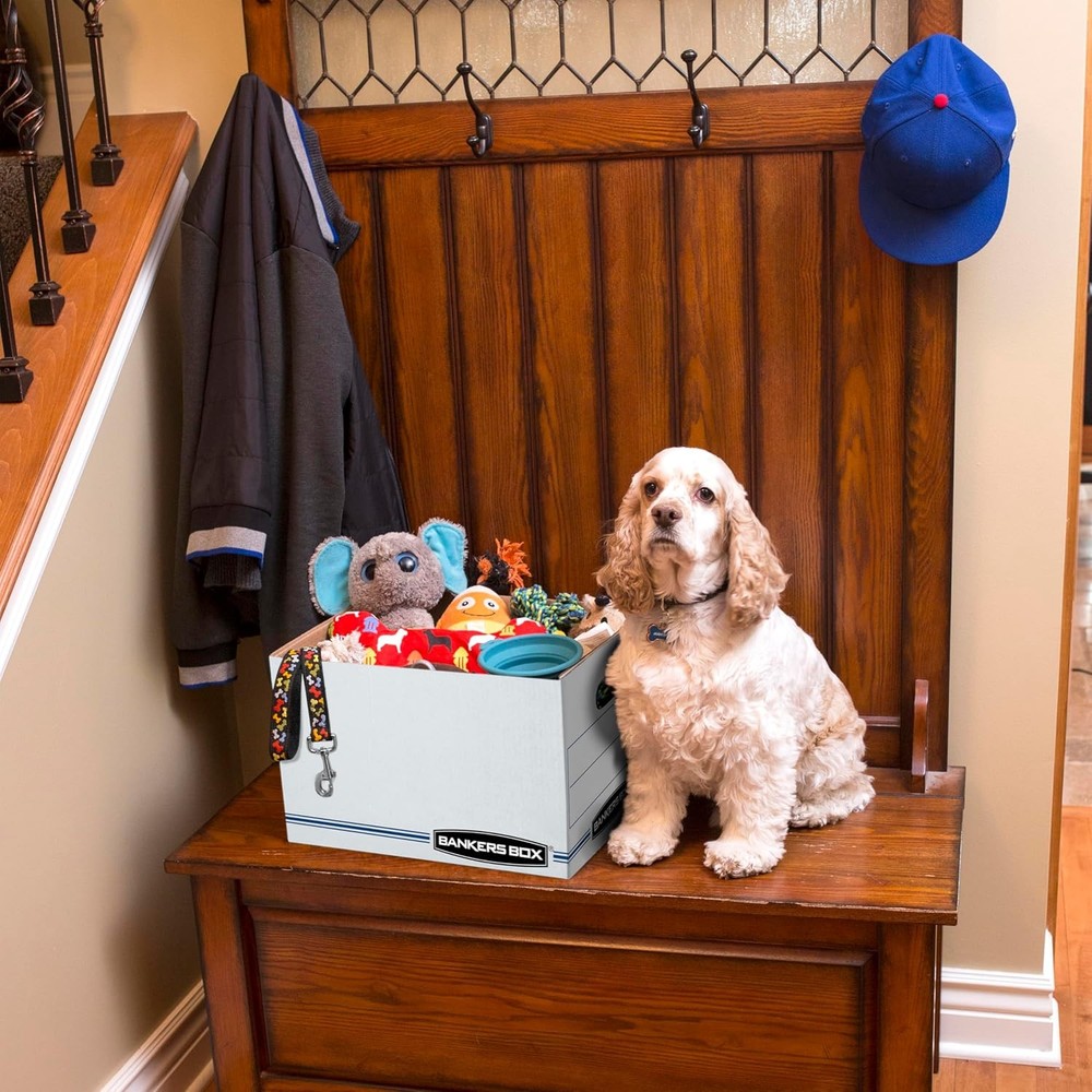 12 Pack Standard Duty File Storage Boxes, Standard Assembly, (0071301)