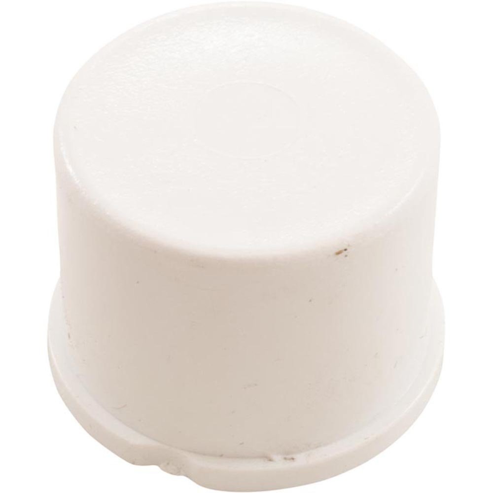 Waterway Plug 1In Spig 715-2000B