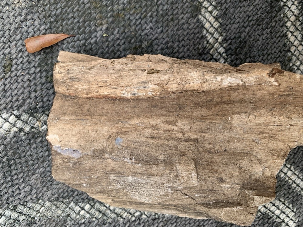 Petrified Wood With Crystallization About 10 Pounds