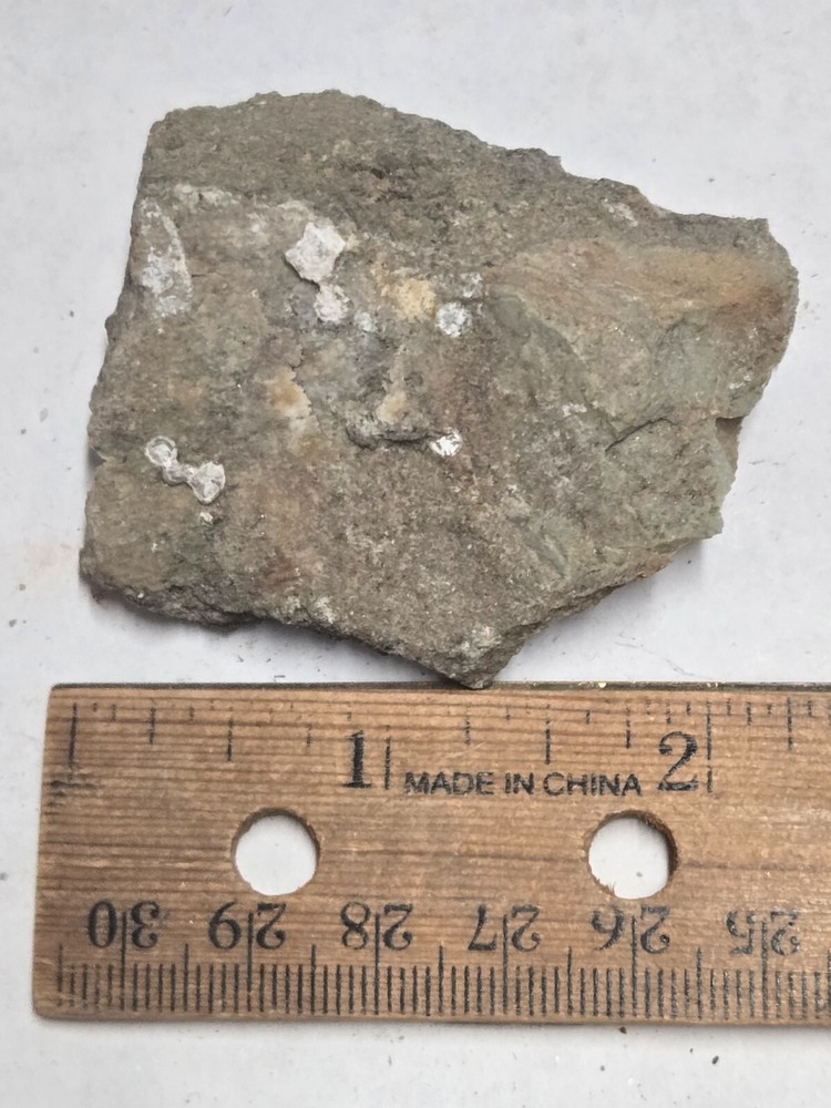 Beautiful Bavenite specimen