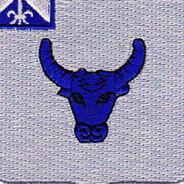 224th Infantry Regiment Patch