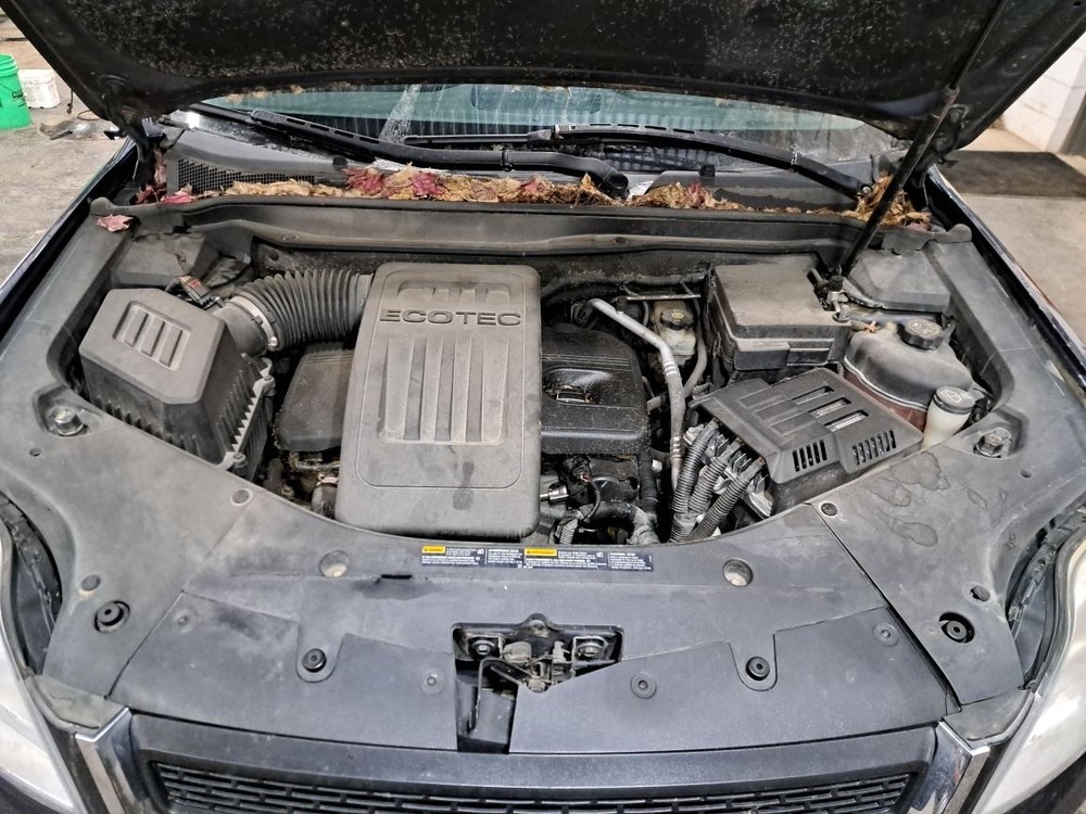 2013 Terrain Jack Sku#4349153