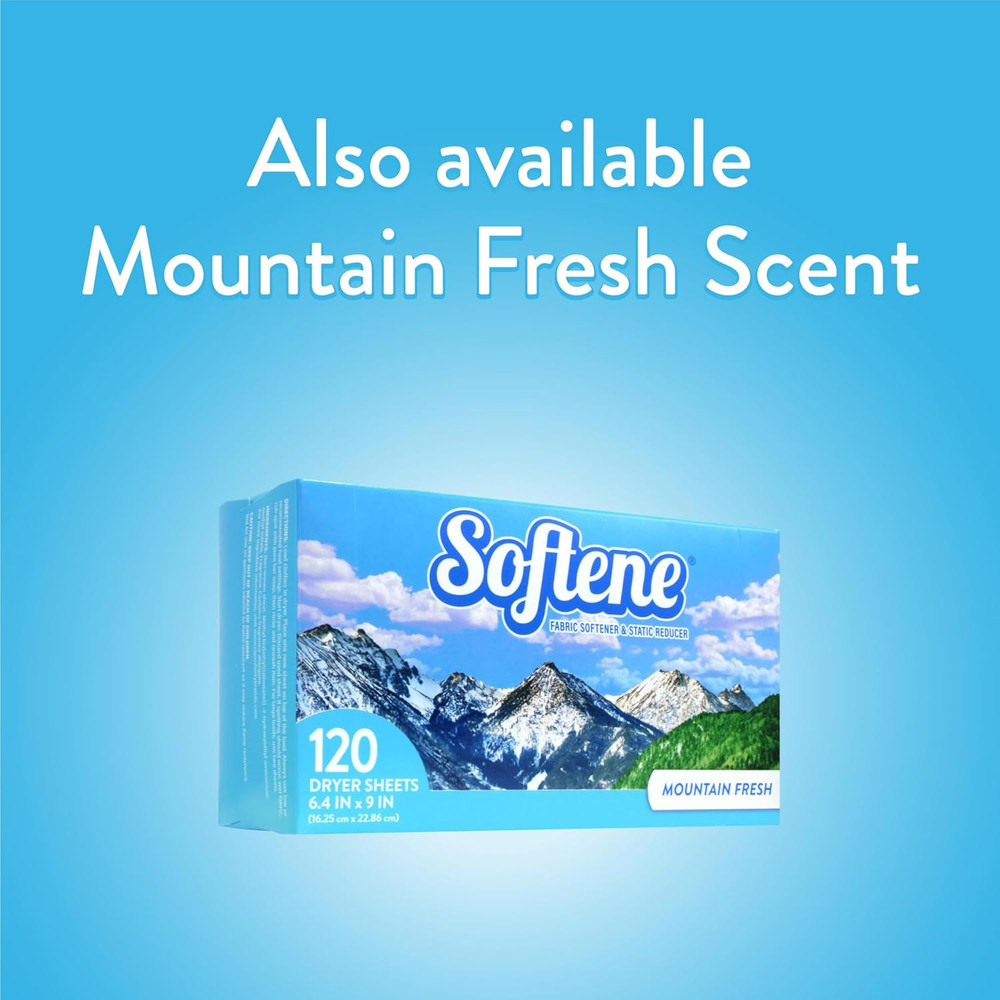 Spring Fresh Dryer Sheets 120Ct