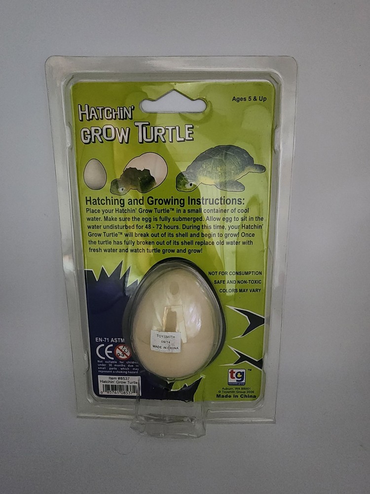 Hatchin Grow Turtle Toysmith