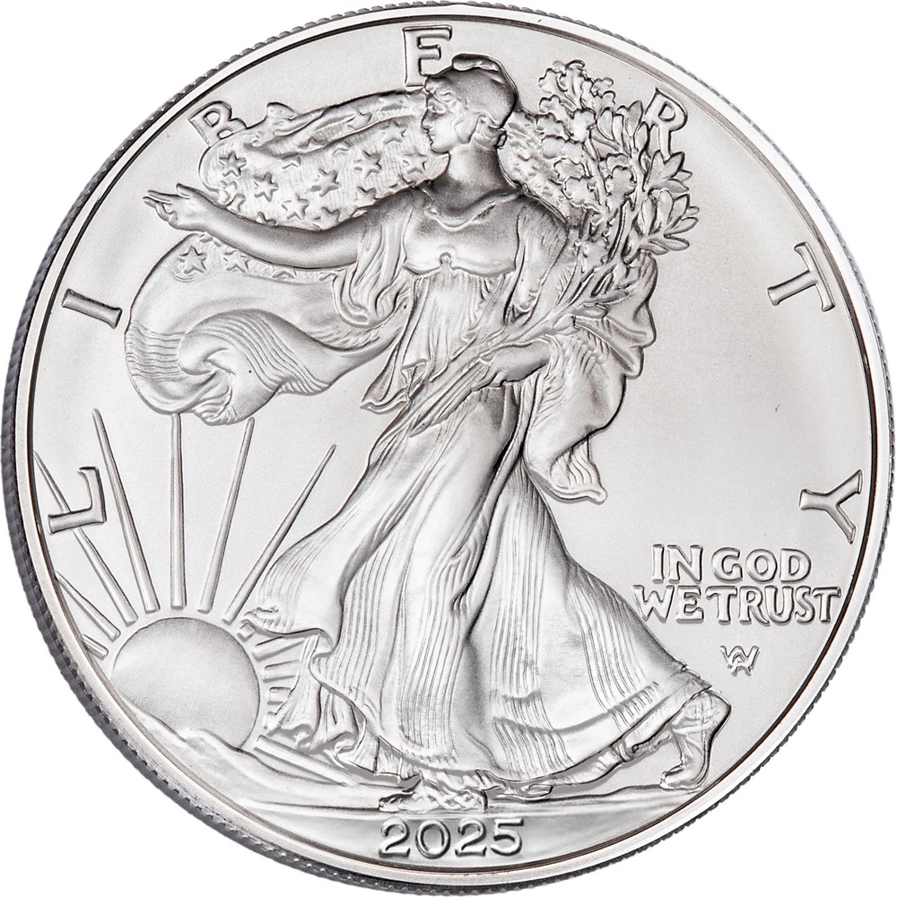 Navy 250th American Silver Eagle Showpak