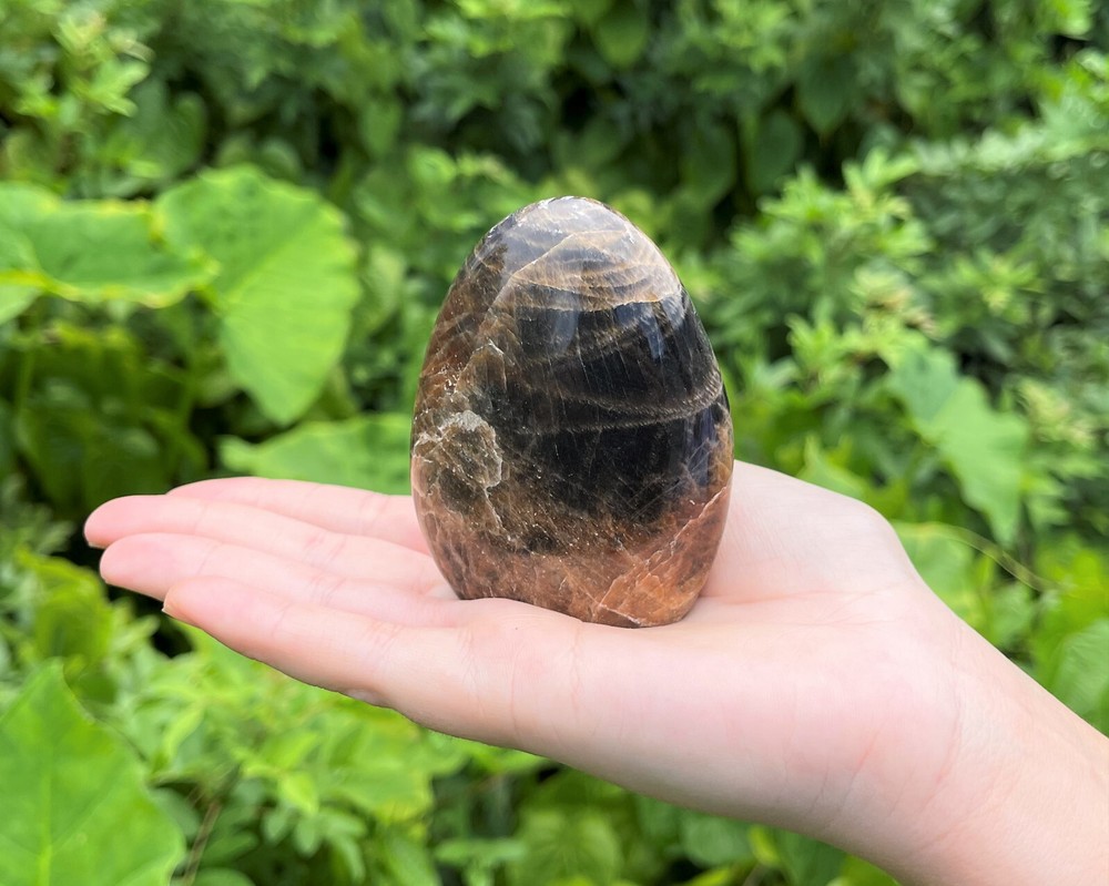 Black Moonstone Freeform - Beautiful Polished Free Standing Display Specimens
