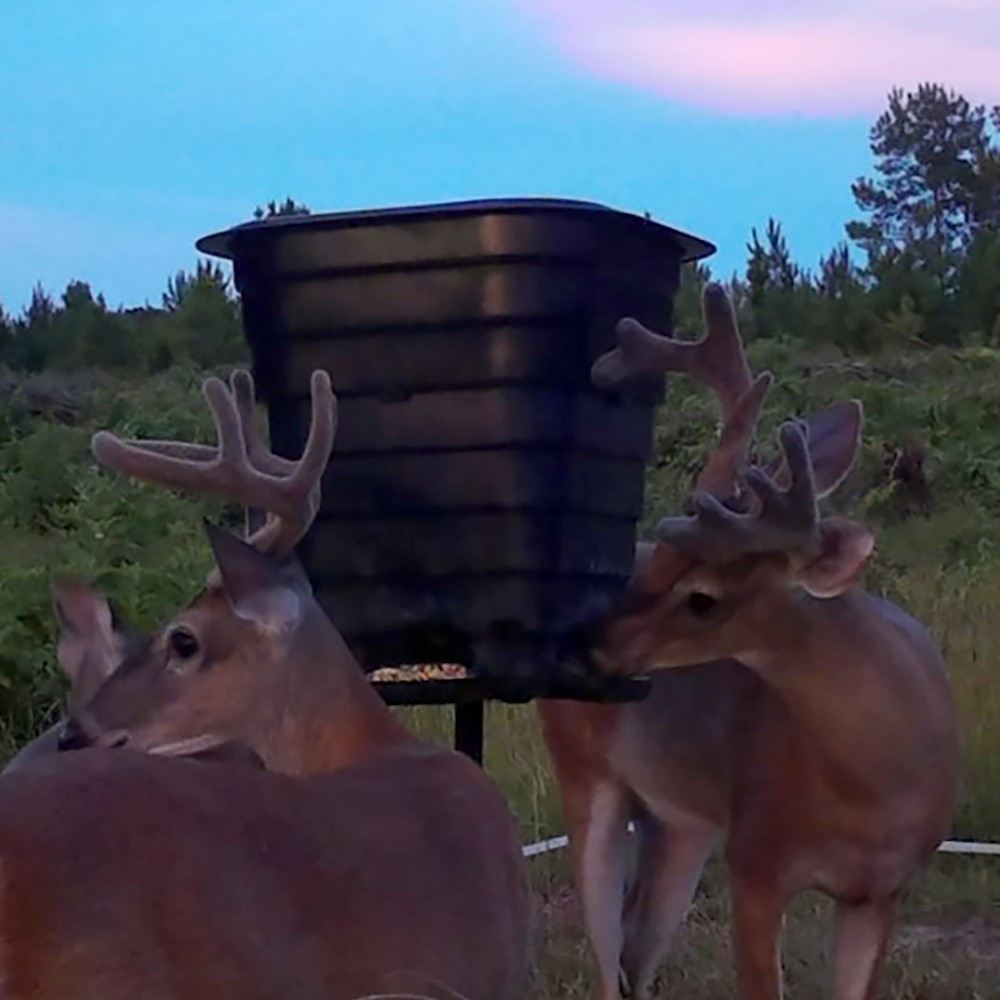 gravity deer feeder kit