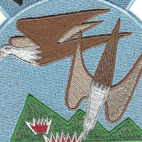VA-881 Attack Squadron Patch