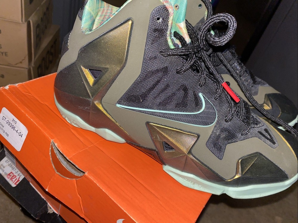 Nike LeBron XI (GS)