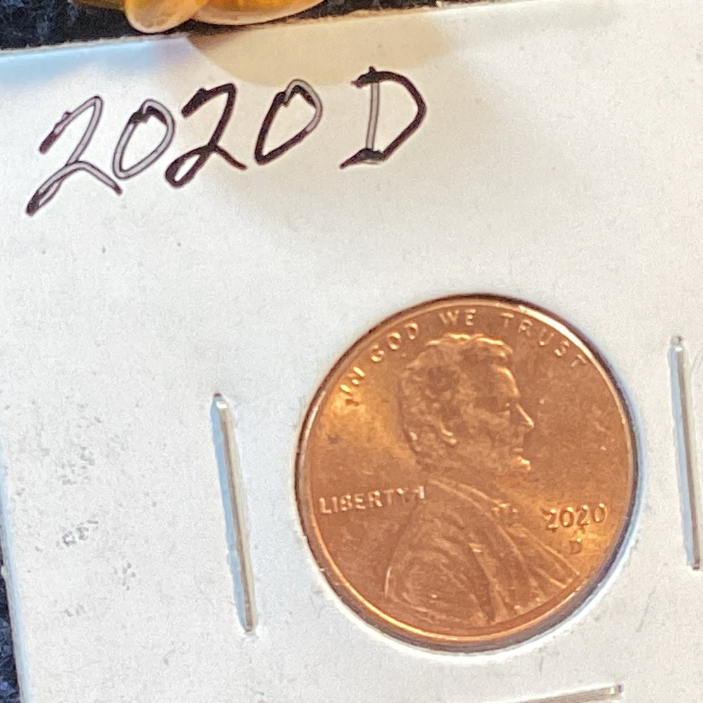 2020 D LINCOLN SHIELD 🛡️ PENNY UNCIRCULATED 🍭