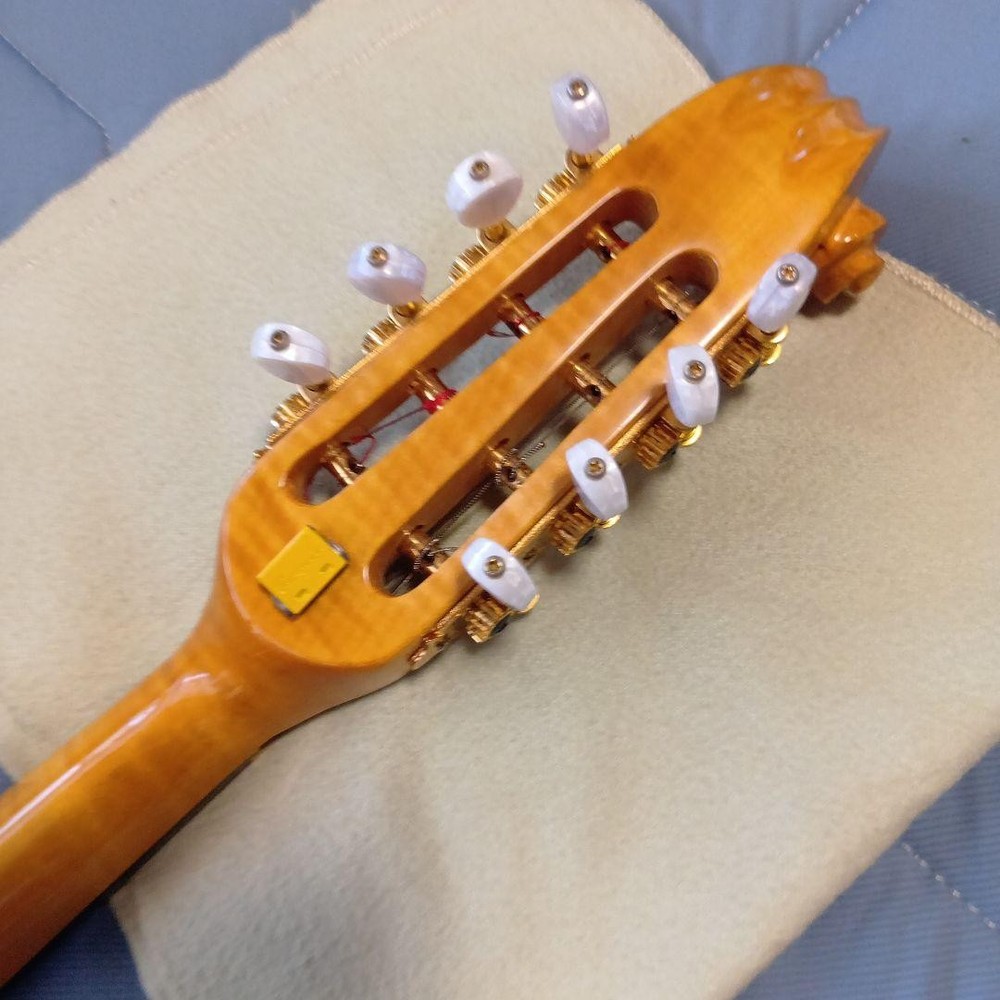 Mandolin 8 string orange with case