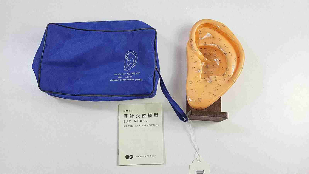 Acupuncture Ear Model - Reflexology - Teaching Aid With Stand, Book, & Bag