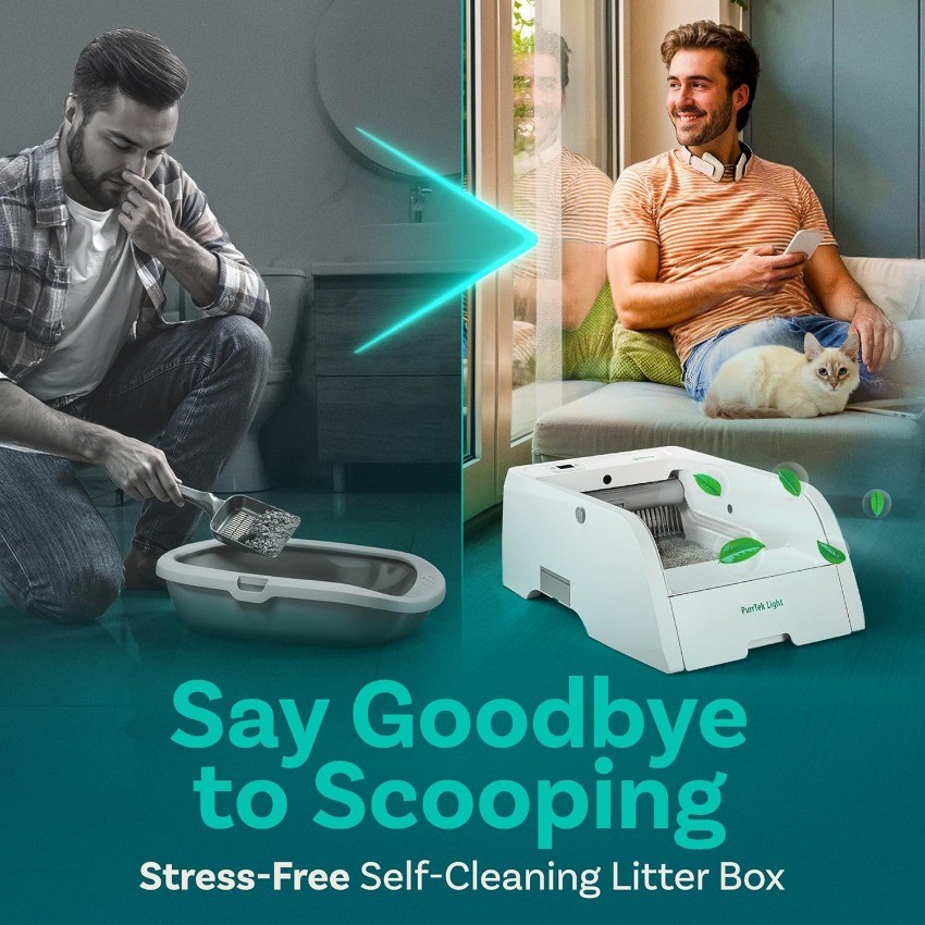 Automatic Self Cleaning Litter Box for Cats, Quiet & Easy Maintenance discount