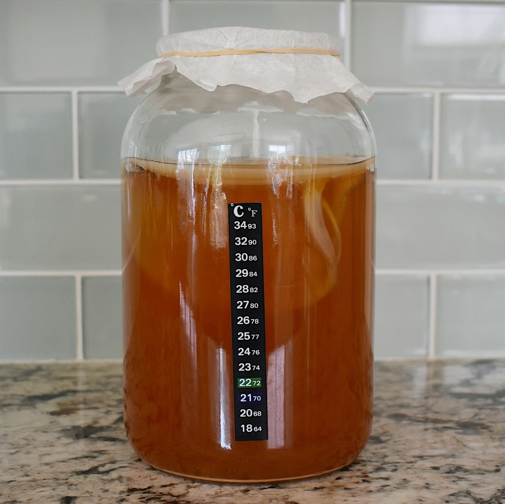 2 Pack Adhesive Thermometer Strips Fermentation - Kombucha, Wine, Beer. Aquarium