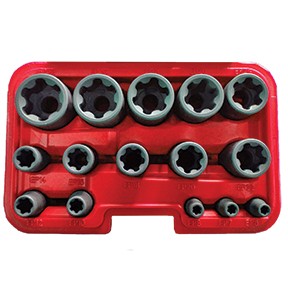 15 Pc. EP Torx Plus Socket Set CTA-5420