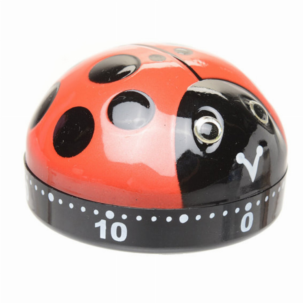 Ladybug Kitchen Timer