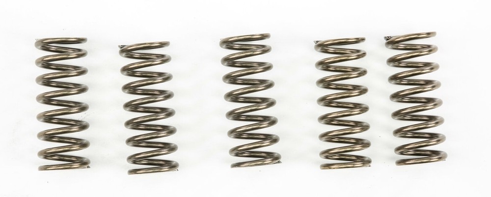 EBC CSK249 CSK Clutch Spring Kit