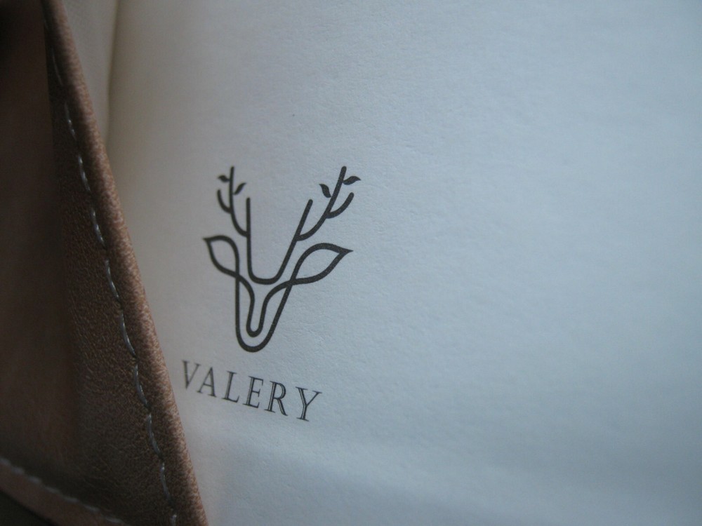 VALERY Leather Journal SUN Graphic ?? New