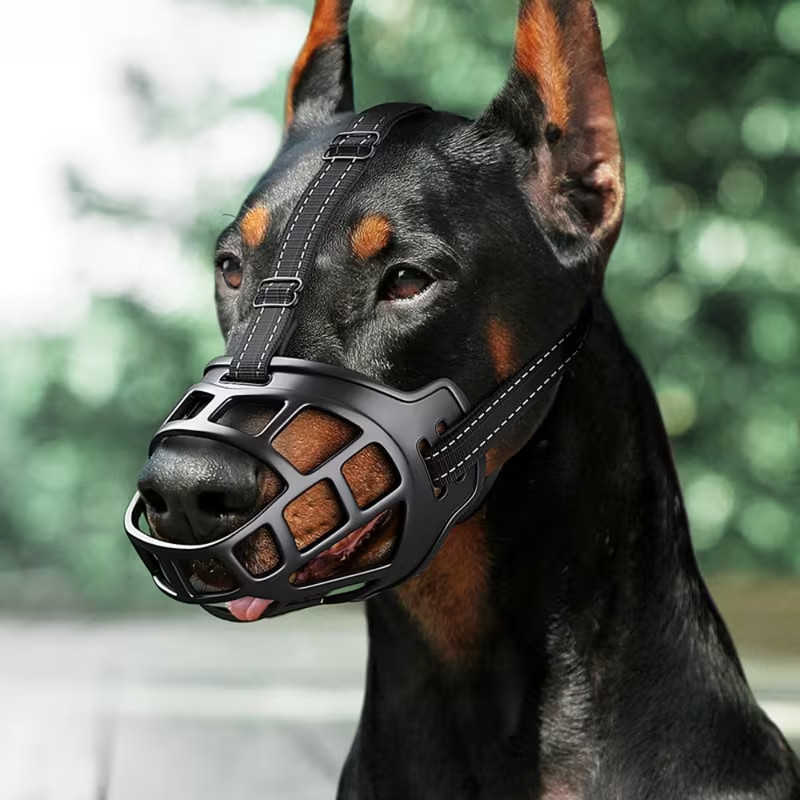 🐶Muzzles | Basket Muzzle to Prevent Biting, Chewing, and Scavenging 🐶