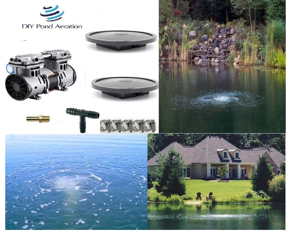 Professional LARGE Pond Aeration Kit w/50' Hose-2 Membrane Diffusers 1/2HP Pump