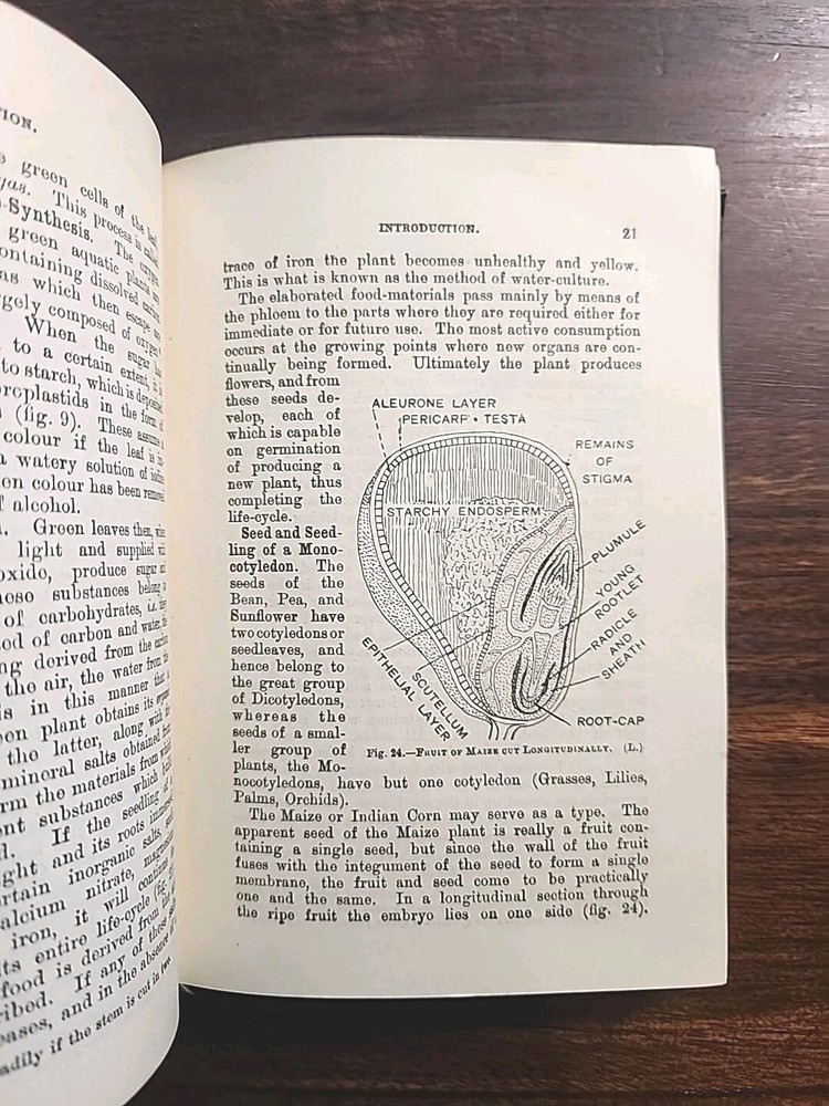 ELEMENTARY BOTANY 1921 RARE