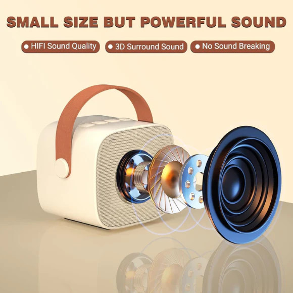 Mini Karaoke Machine 2 Wireless Microphone, Bluetooth Speaker for Kids Adults