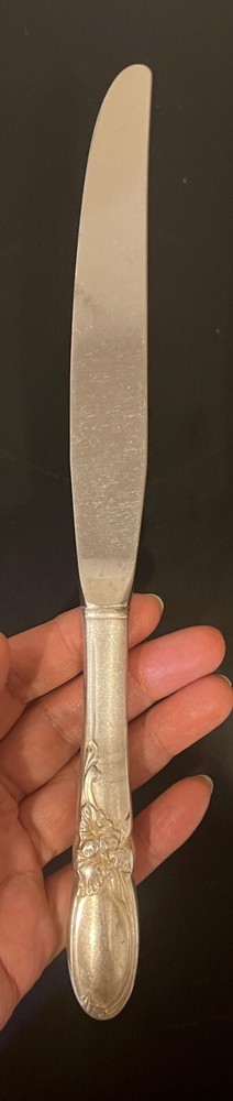 Oneida Community White Orchid Dinner Knife 9.5" Silver Plate Handle