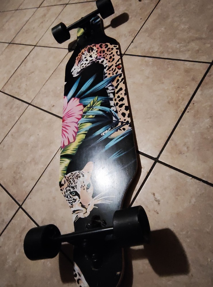 skateboard longboard Holato