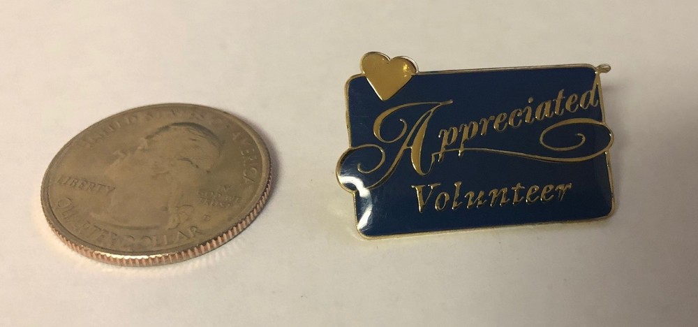 Appreciated Volunteer Pin