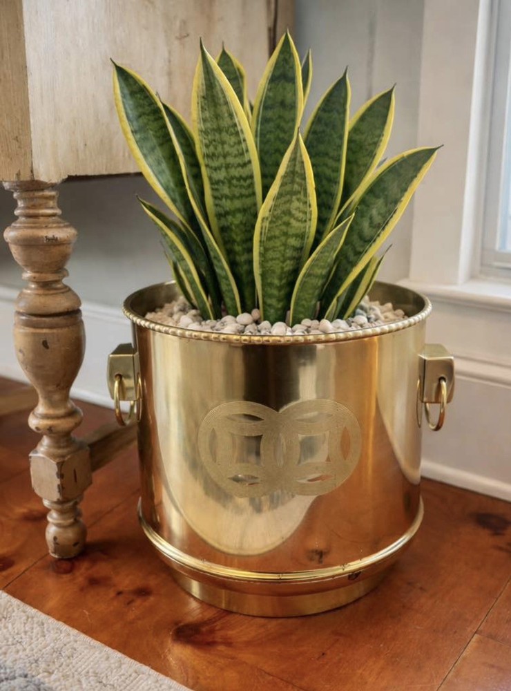 Large Solid Brass Double Happiness Planter with Bamboo Edge 🌿- Chinoiserie