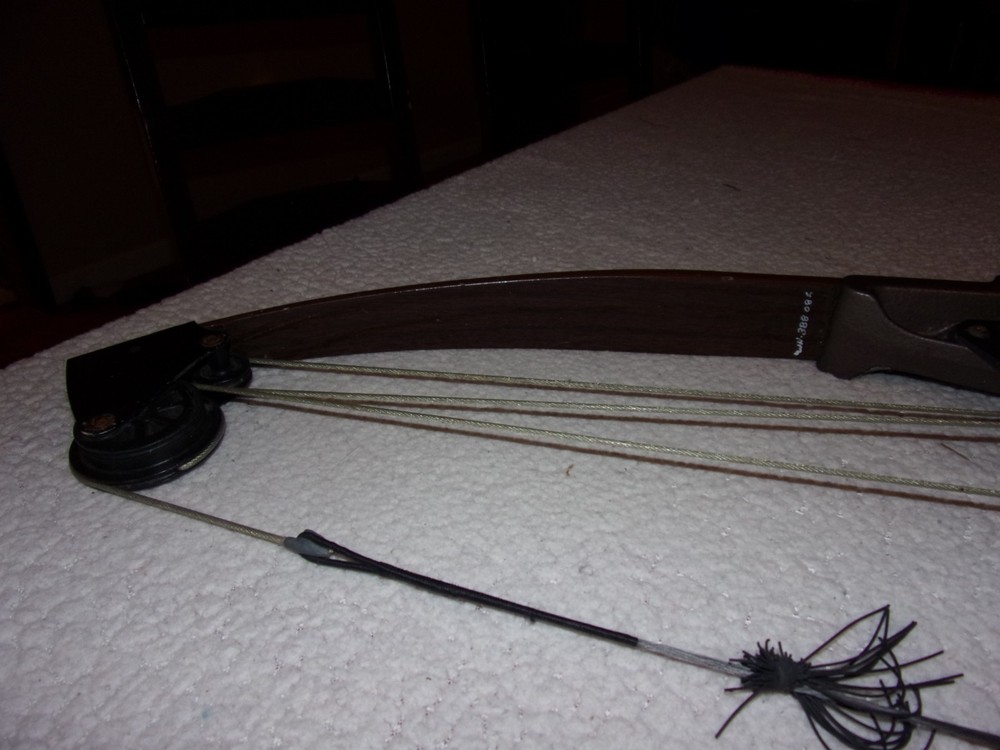 Bear Whitetail Hunter Vintage Compound Bow