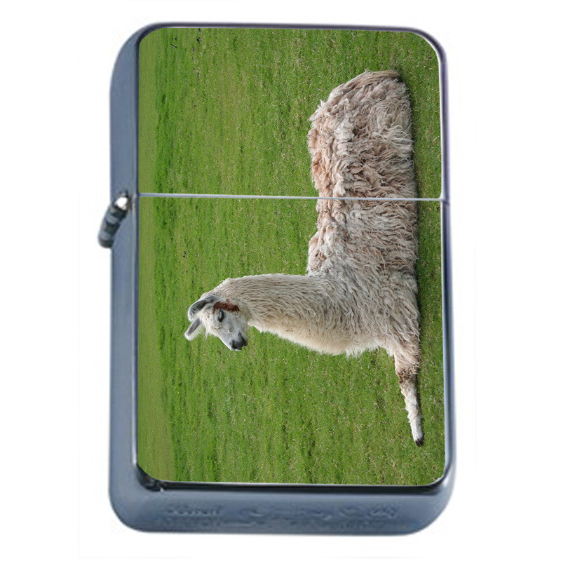 Llamas D4 Flip Top Oil Lighter Wind Resistant With Case