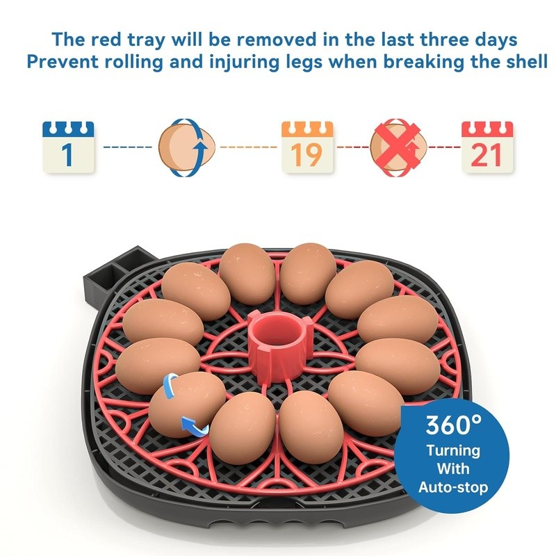 12-24 Egg Incubator with Humidity Display Egg Candler Automatic Egg Turner