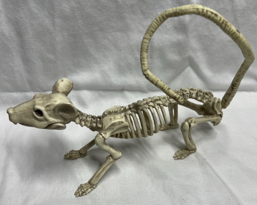 Halloween Decoration Prop Rat Skeleton Plastic Posable Tail Head Turns Jaw Opens