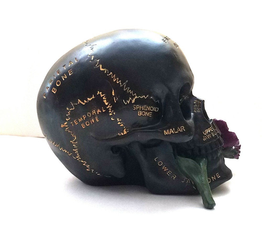 Skull with Rose Figurine Statue Skeleton Halloween