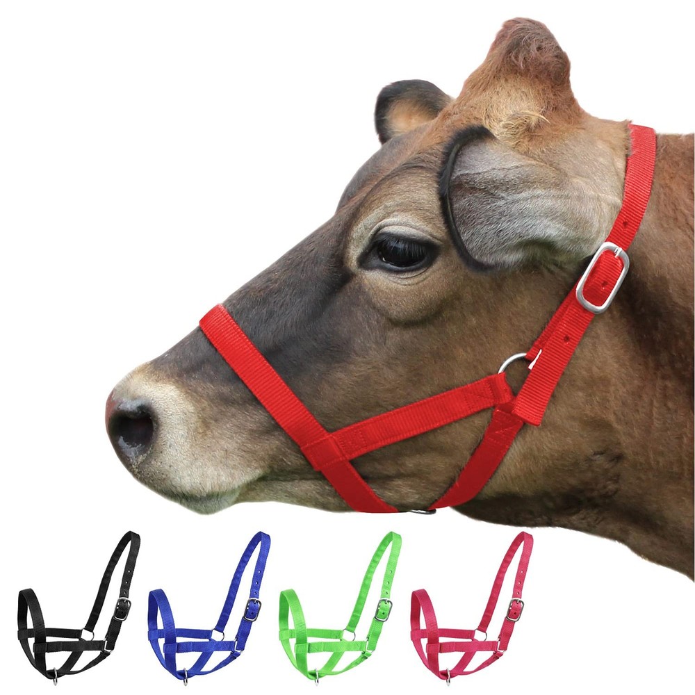 Adjustable Nylon Cattle Halters for Livestock  Medium Size, Red