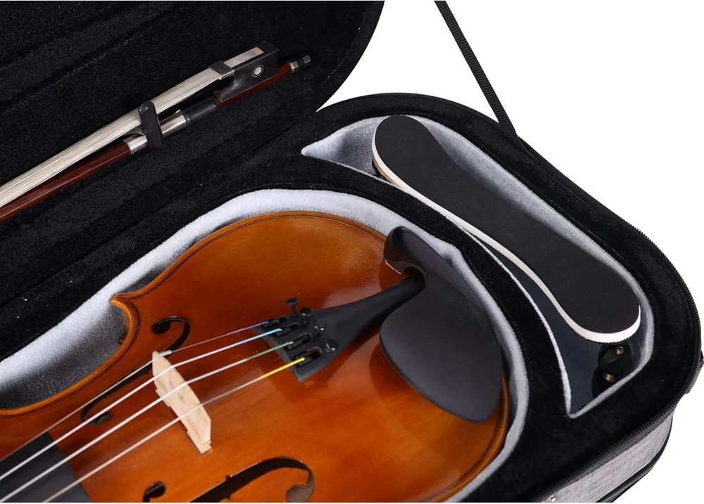 Aileen CSV502 Basic Professional 4/4 Full Size Violin Case Triangular Hard Shell