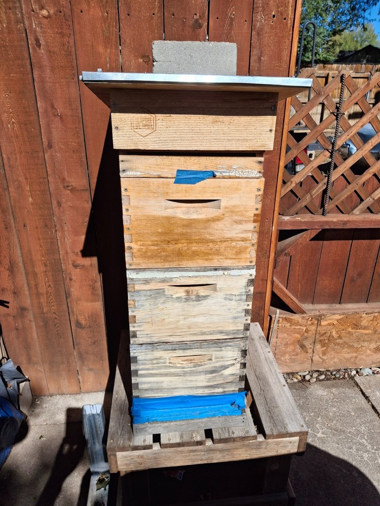 Beekeeping hives,with Frame's,extras.